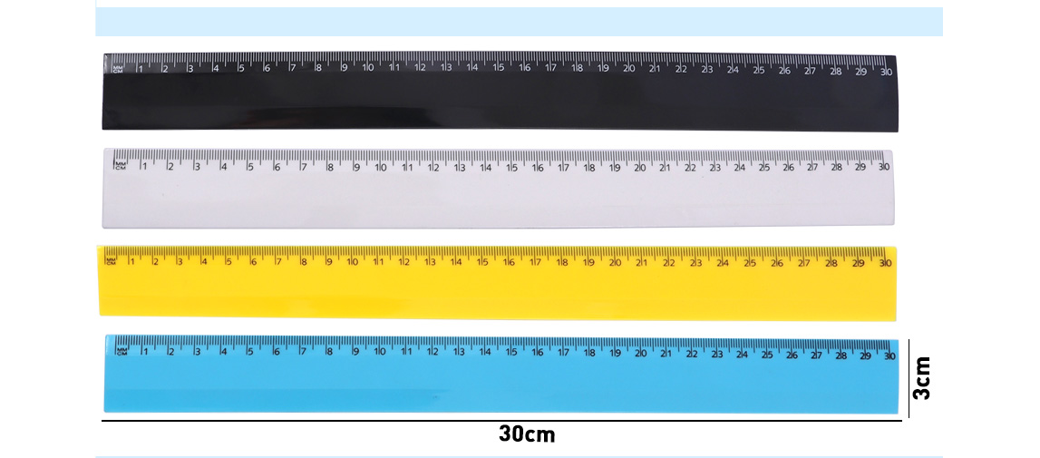 EXACT INCH Plastic Ruler