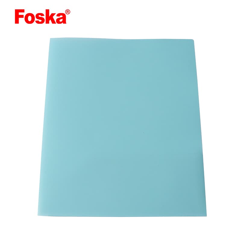 PP Plastic File Folder