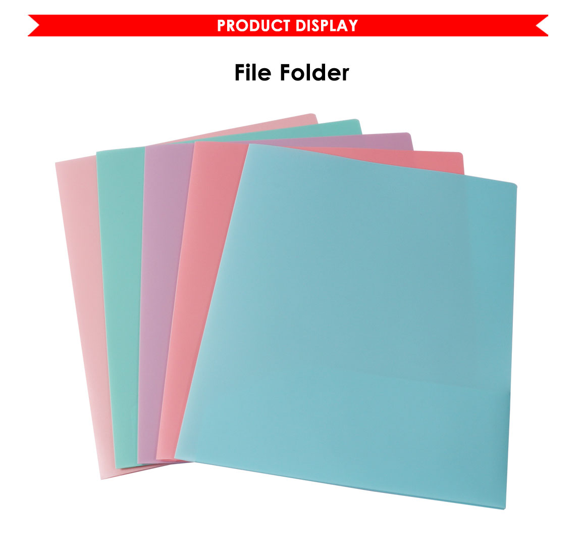 2 Pockets PP File Folder 2 Pockets PP File Folder