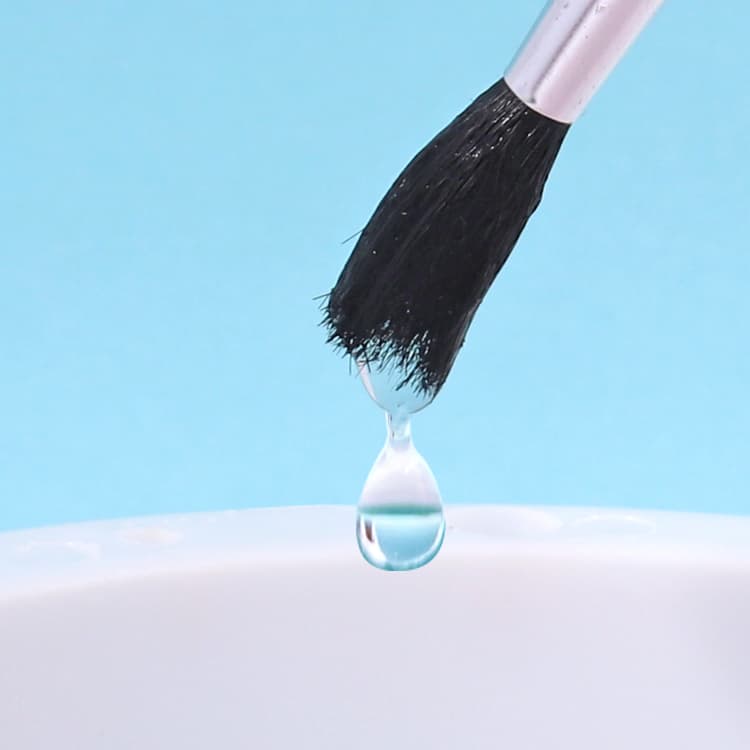Water absorption brush Water absorption brush