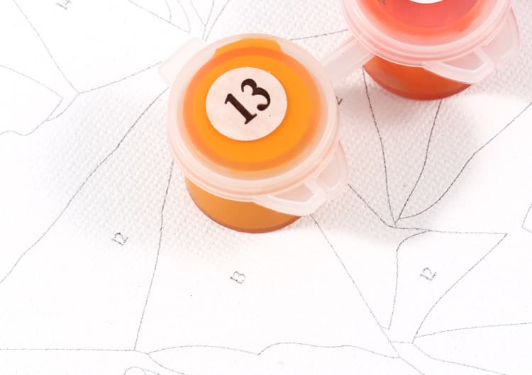 40 X 50cm DIY Paint by numbers 