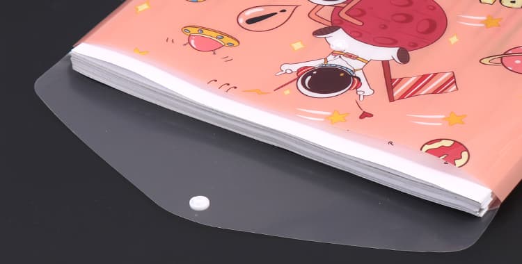 Large Capacity Buckled File Pocket