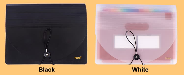 Colorful Expanding File Bag