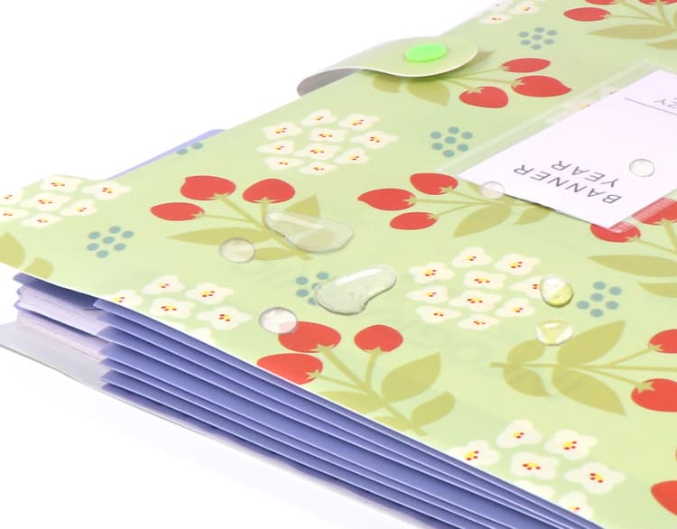 Document Portfolio Folder
