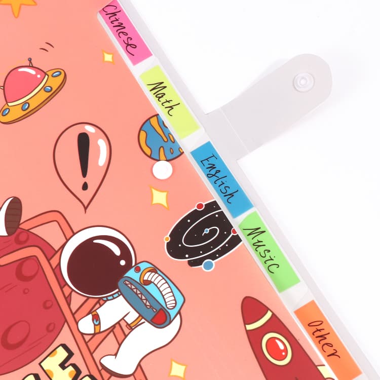 High Quality Expanding File Bag
